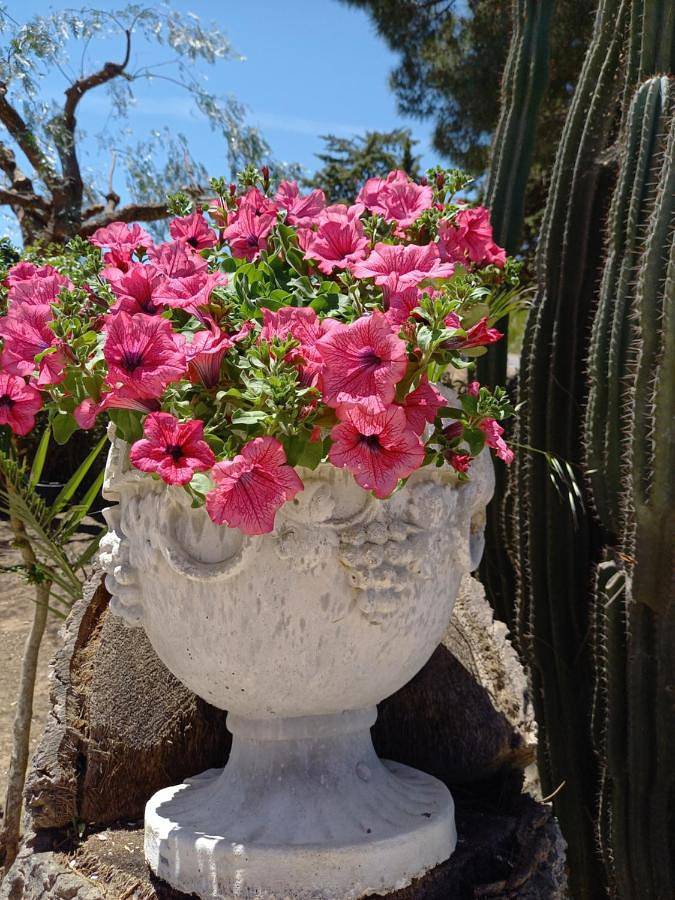 Apartment with Garden View in Caltagirone, Caltagirone und Umgebung