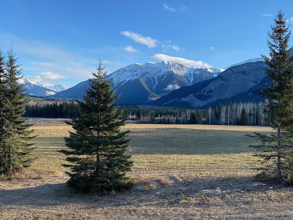 Post and Beam Country home on 40 Acres of land in the Blaeberry Valley, Golden. in Kicking Horse
