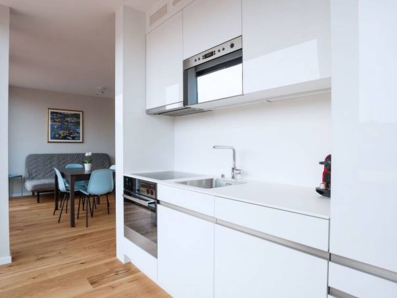 Apartamento entero, Apartamento de vacaciones para 4 personas in Basilea, Aargau-Basel