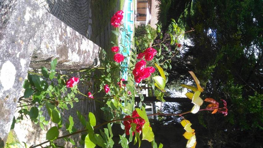 Location de vacances pour 6 personnes, avec bassin pour enfant et piscine ainsi que jardin et vue, animaux acceptés à Santa Maria da Feira - 2