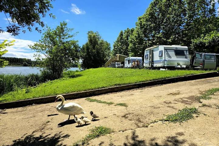 Mobil home pour 6 personnes, avec terrasse, animaux acceptés à Crêches-sur-Saône - 4