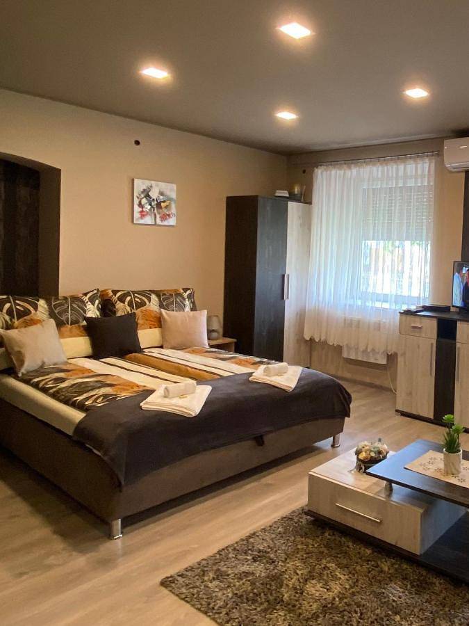 Apartament wakacyjny dla 12 osób, z ogród i widok w Tokaj