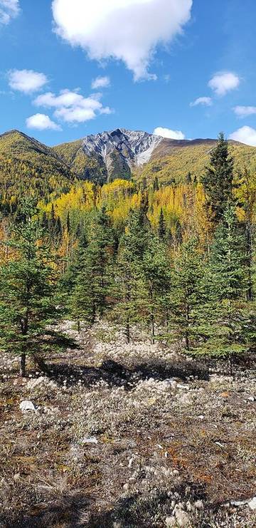 Blockhütte für 2 Personen in Wrangell - St. Elias Nationalpark, Alaska, Bild 3