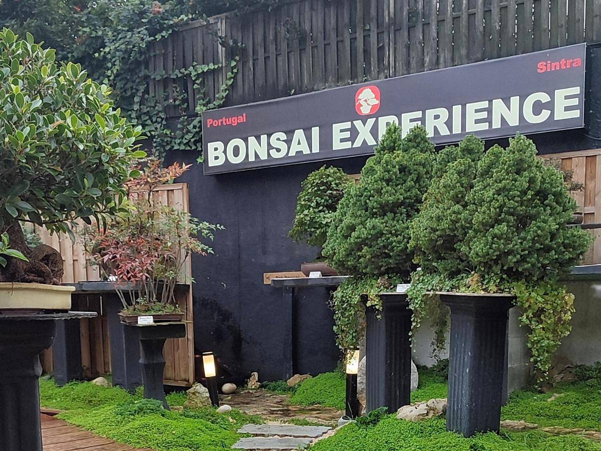 Apartamento inteiro, Zen Guest House - Museu do Bonsai in Sintra, Costa de Lisboa