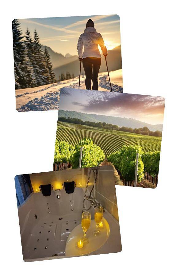 Chambre d’hôte pour 2 personnes, avec jardin ainsi que vue et terrasse dans la Loire - 4