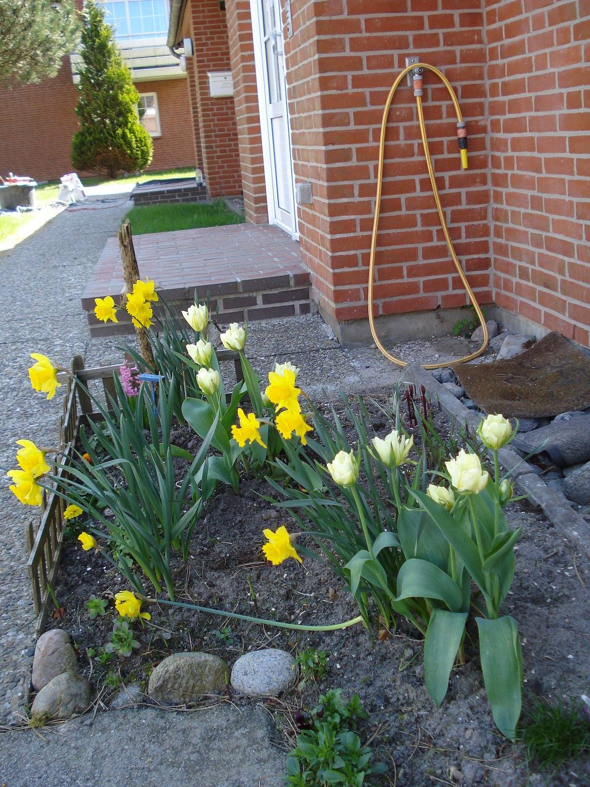 Ganze Ferienwohnung, Sternschnuppe in St. Peter-Ording, Eiderstedt