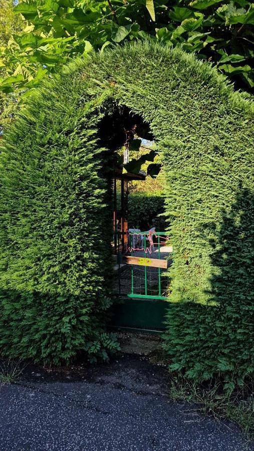 Maison de vacances pour 2 personnes, avec vue et jardin, animaux acceptés en Haute-Loire - 4