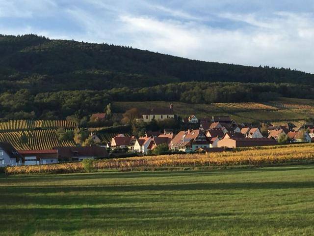 Appartement entier, Three-Bedroom Apartment in Dieffenthal, Région de Sélestat-Erstein