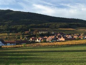 Gîte pour 6 personnes, avec vue à Dieffenthal