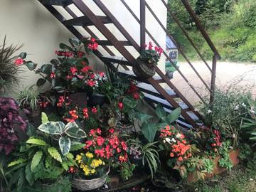 Appartement De Vacances pour 2 Personnes dans Villette-sur-Ain, Ain, Photo 3