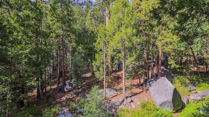 Log Cabin for 7 Guests in Idyllwild, Riverside County, Picture 3