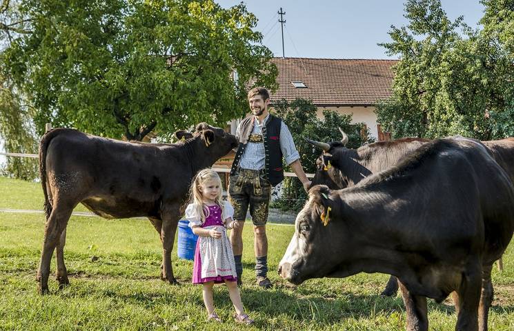 Bauernhof für 6 Personen in Eggstätt - 4