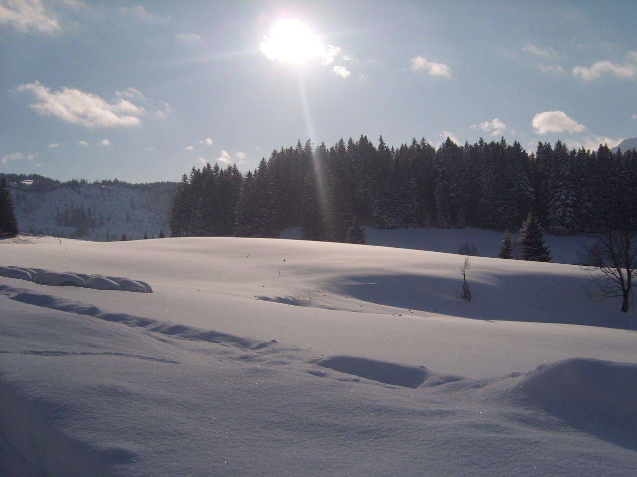 Alpennest in Bad Hindelang, Bayerisch Schwaben