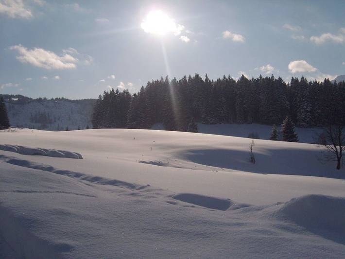 Bauernhaus für 4 Personen, mit Garten, kinderfreundlich in Bad Hindelang - 3