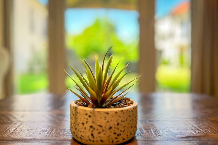 Ferienwohnung für 2 Personen, mit Terrasse und Sauna im Klützer Winkel - 3