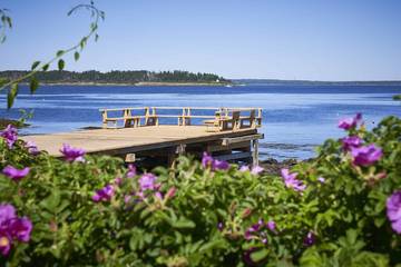 Glamping for 4 Guests in Harpswell, Maine, Picture 3