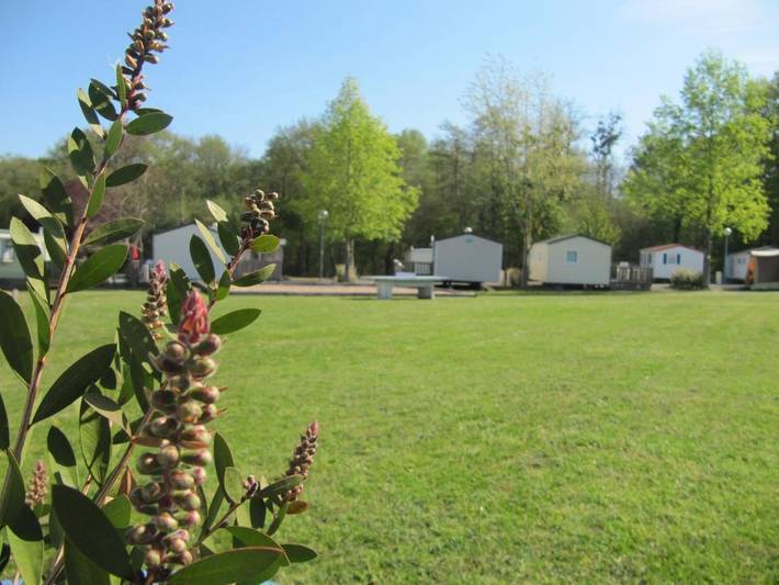 Camping pour 4 personnes, avec terrasse, animaux acceptés à Vienne (France) - 4