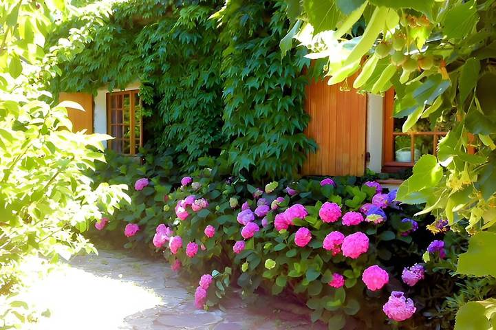 Chambre d’hôte pour 2 personnes, avec Jardin à Six-Fours-les-Plages