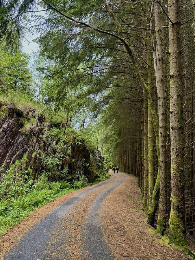 Ferienwohnung für 7 Personen, mit Terrasse in Fjell - 4
