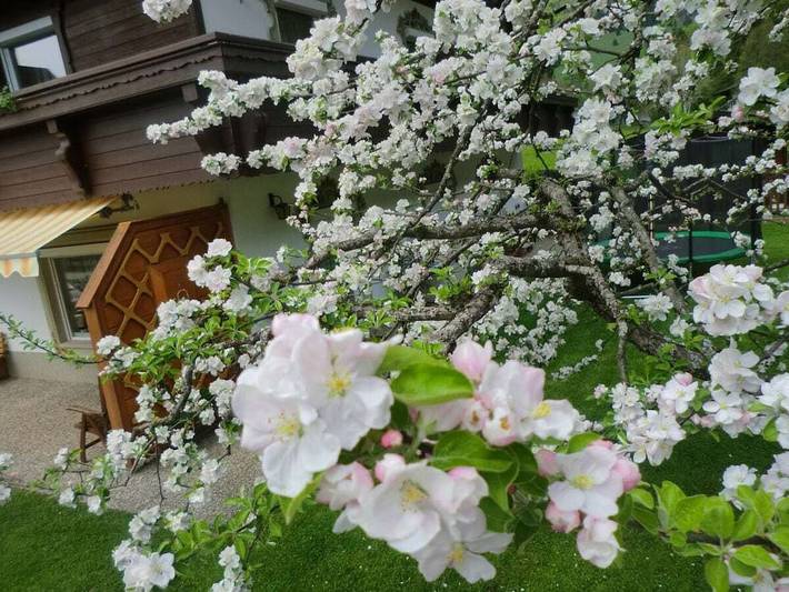 Ferienhaus für 4 Personen, mit Balkon in Walchsee - 3