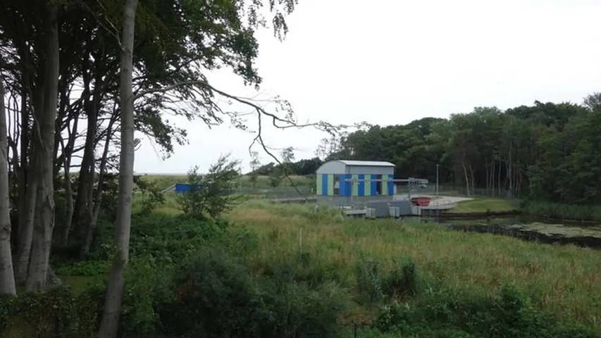 Ferienhaus für 4 Personen, mit Garten in der Rostocker Heide - 4