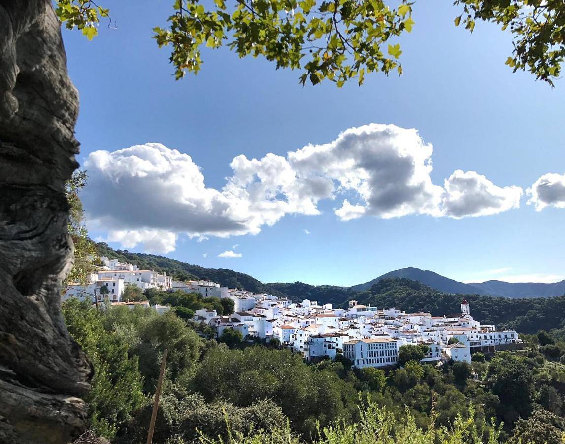 Three-Bedroom House in Genalguacil, Malaga Prowincja