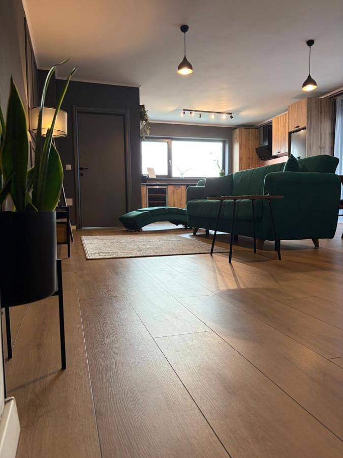 Gîte pour 5 personnes, avec vue et balcon dans Mureș - 3