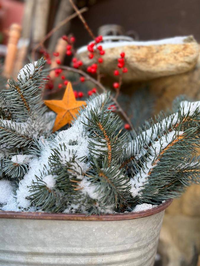 Ferienhaus für 5 Personen, mit Ausblick und Sauna sowie Garten, mit Haustier in der Böhmische Schweiz - 4