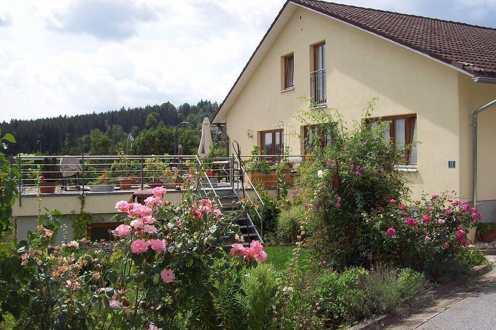 Ganze Wohnung, Ferienwohnung Falkenstein in Zwiesel, Ostbayern