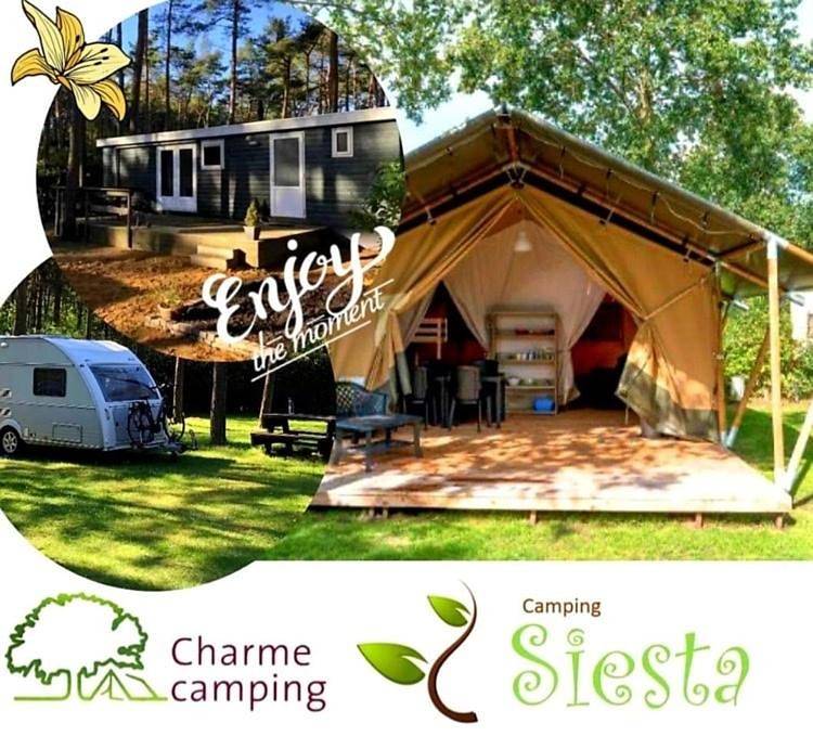 Camping Siesta in Lille (Belgique), Région d'Anvers