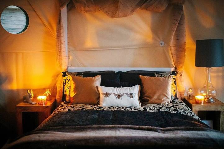 The Tree Dome - Retiro lujoso de Glamping in Colinas de Shropshire