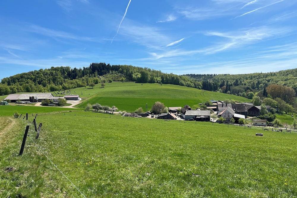 Ganze Wohnung, Gemütliche Ferienwohnung auf einem Aussiedlerhof in Bad Wildungen, Waldecker Land
