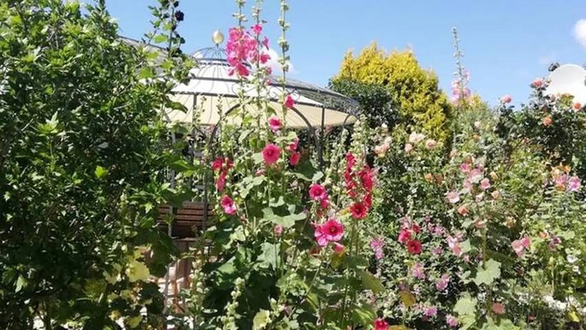 Ferienhaus für 4 Personen, mit Garten in Garz/Rügen - 3