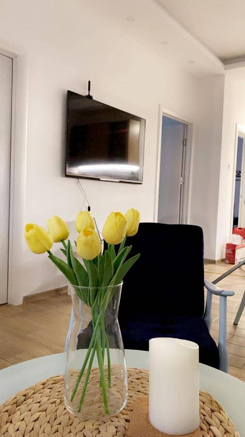 Gîte pour 4 personnes, avec terrasse à Vršac