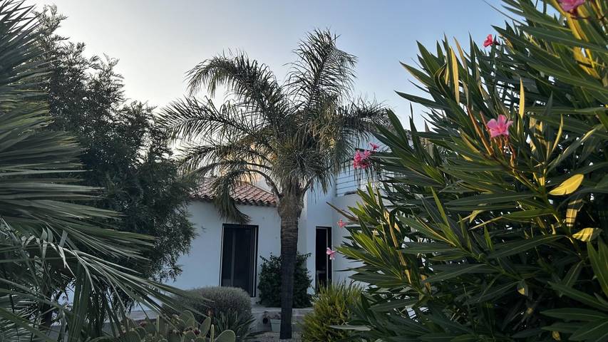 Gîte pour 2 personnes, avec jardin ainsi que piscine et terrasse dans les Pyrénées-Orientales - 2