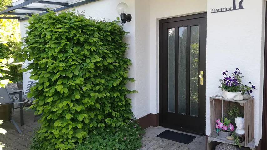 Ferienwohnung für 2 Personen, mit Terrasse in Michelstadt - 2