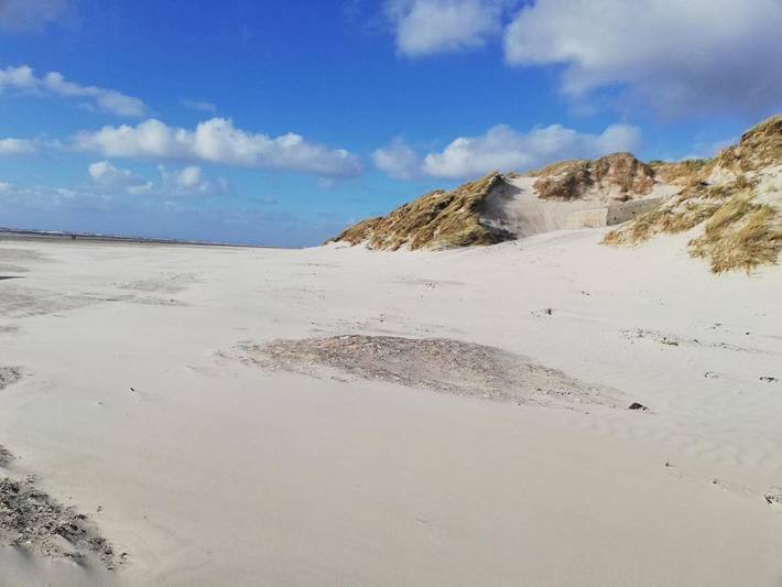 Chambre d’hôte pour 2 personnes, avec jardin, animaux acceptés à Varde - 4