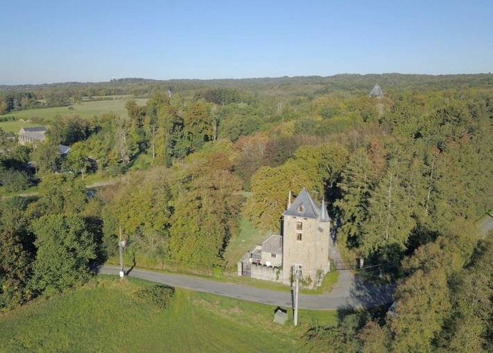 Vakantiehuis voor 9 personen, with Terras and Tuin as well as Sauna and Uitzicht in Ciney