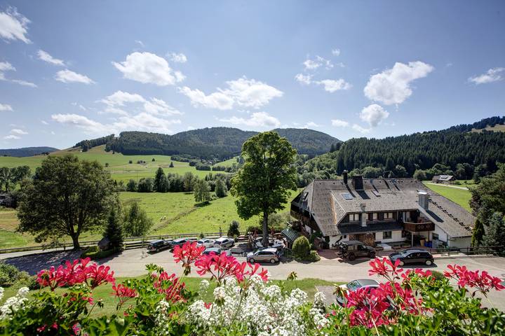 Ferienwohnung für 4 Personen, mit Sauna und Balkon in Bernau im Schwarzwald