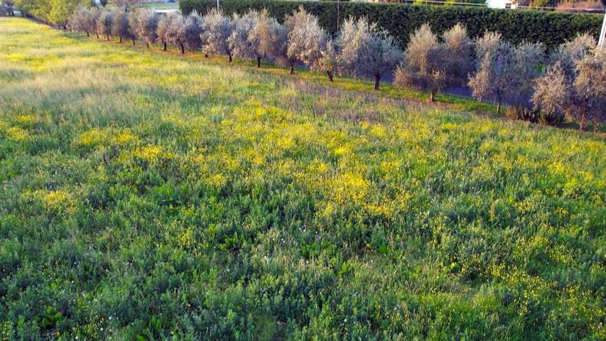 Location de vacances pour 4 personnes, avec jardin et vue à Imola - 2