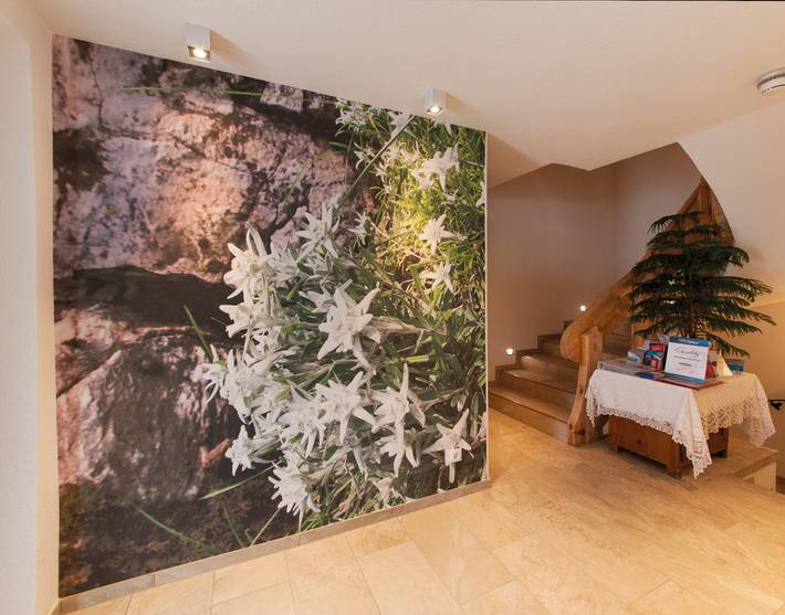 Ganzes Studio, Einzimmerapartment 'Top 3 Eisenspitze' mit Bergblick, privatem Garten und Wi-Fi in Lechtaler Alpen, Pettneu am Arlberg