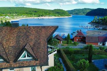 Ferienhaus für 5 Personen, mit Balkon und Sauna sowie Whirlpool, mit Haustier in Schluchsee