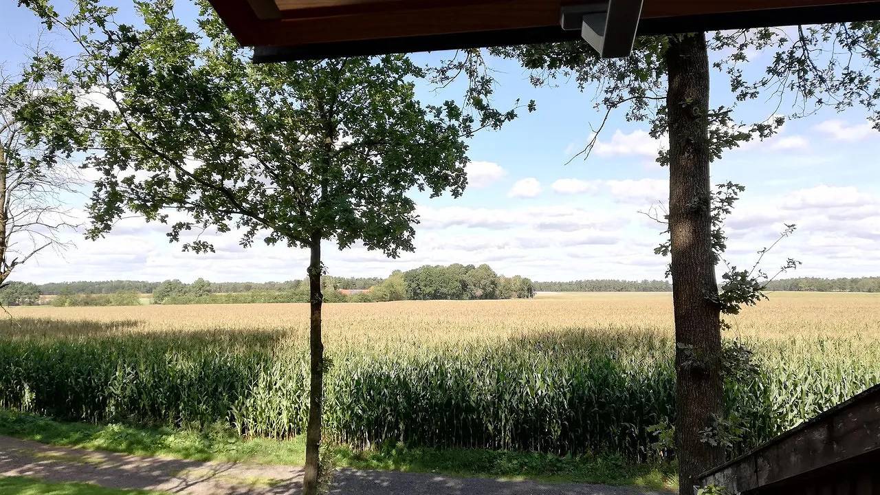 Vakantiehuis voor 2 personen met terras, foto 15