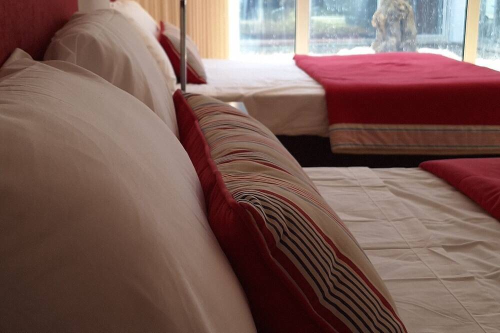 Escapada na Beira Interior, com piscina e muito espaço! in Castelo Branco, Aldeias de Xisto