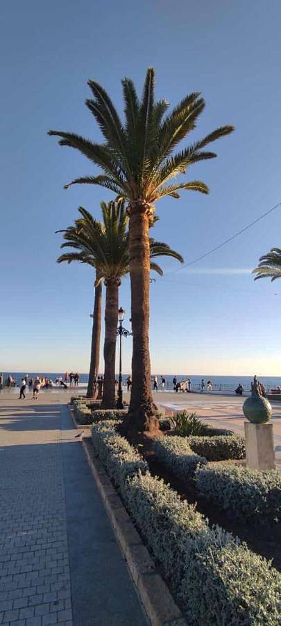 Apartamento entero, Apartamento Solárium in Torrox Costa, Vélez-Málaga