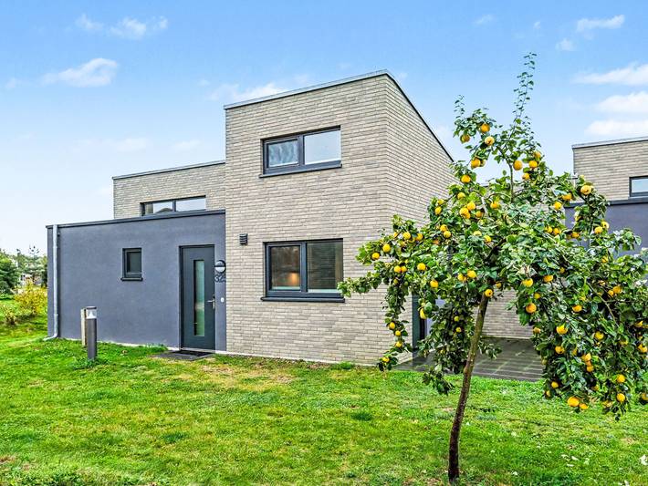 Ferienhaus für 6 Personen, mit Sauna und Terrasse sowie Kinderpool am Dümmer See (Niedersachsen) - 4