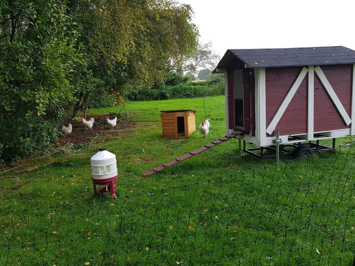 Ferienhaus für 4 Personen, mit Terrasse in Berumbur - 4