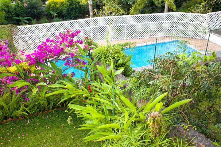 Gîte pour 4 personnes, avec terrasse ainsi que vue et piscine dans Punaauia - 2