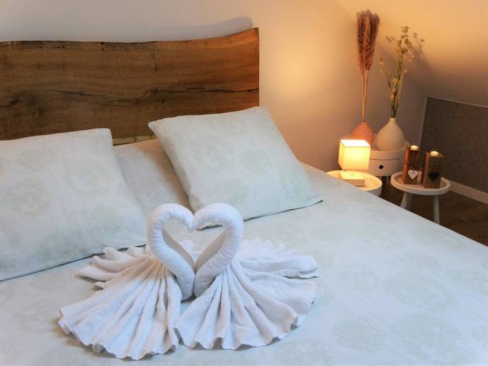 Gîte pour 3 personnes, avec jacuzzi dans Marne - 2