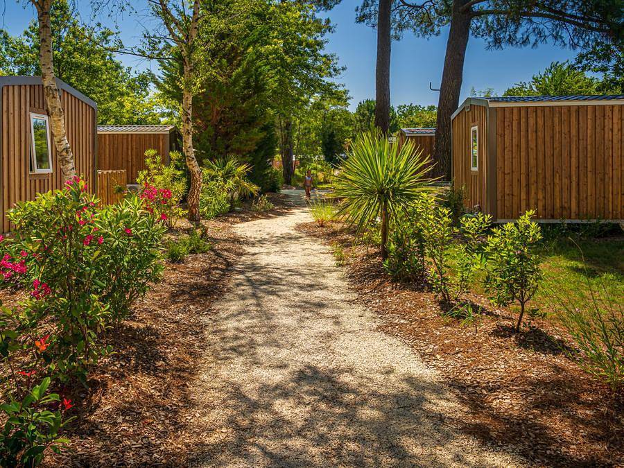 Camping L'Orée Du Bois - Mobilhome 6 personas - Mobil Home 2 camas 4/6 baños Terraza semicubierta sin aire acondicionado Tv in Hourtin, Parque natural regional del Médoc